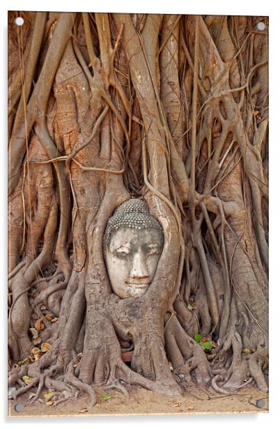 Buddha Head Embedded in Tree Roots at Wat Mahathat in Thailand Acrylic by Arterra 