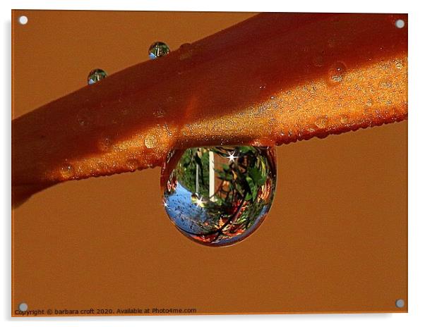 The Beauty Of Rain Acrylic by barbara croft
