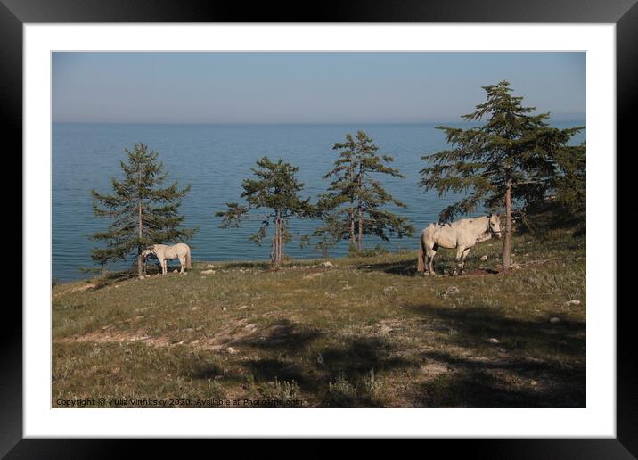 Baikal and horses landscape Framed Mounted Print by Yulia Vinnitsky