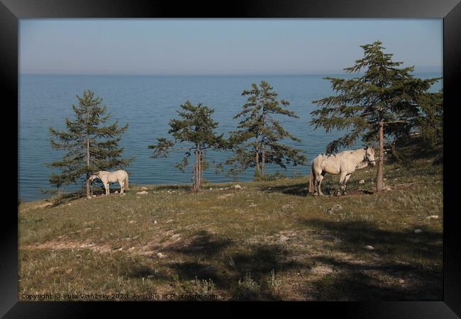 Baikal and horses landscape Framed Print by Yulia Vinnitsky