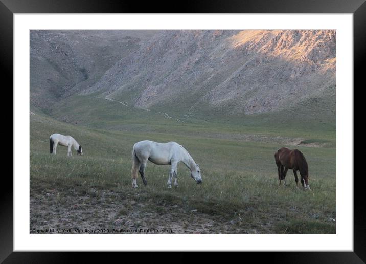 Horses grazing Framed Mounted Print by Yulia Vinnitsky