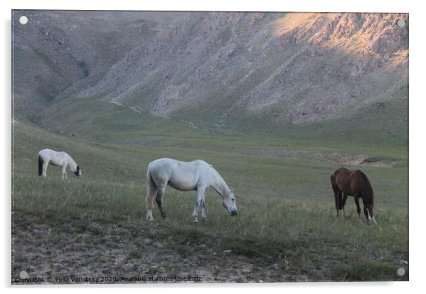 Horses grazing Acrylic by Yulia Vinnitsky