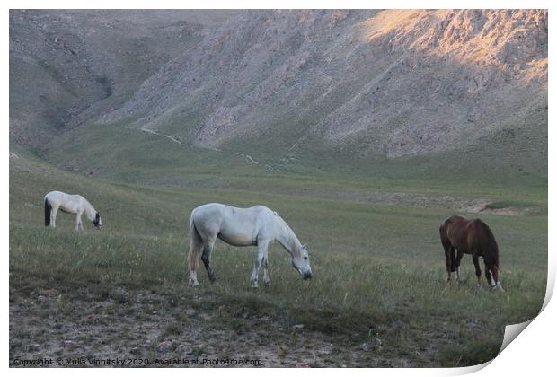 Horses grazing Print by Yulia Vinnitsky