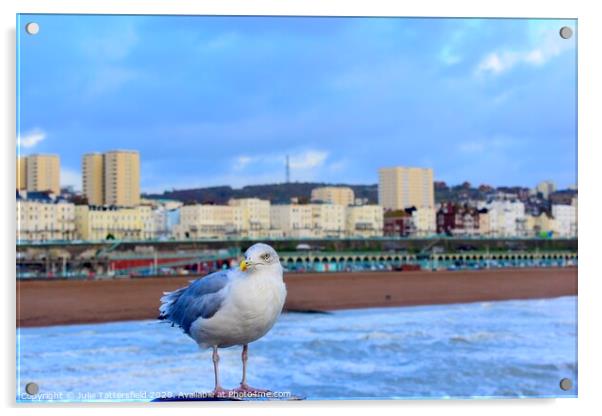 Brighton seagull looking for chips! Acrylic by Julie Tattersfield