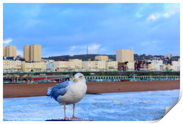 Brighton seagull looking for chips! Print by Julie Tattersfield