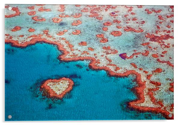 Heart Reef in the Great Barrier Reef, Australia Acrylic by Arterra 