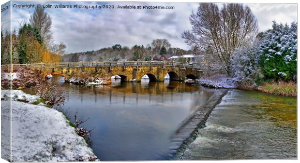 Tilford In The Snow Canvas Print by Colin Williams Photography