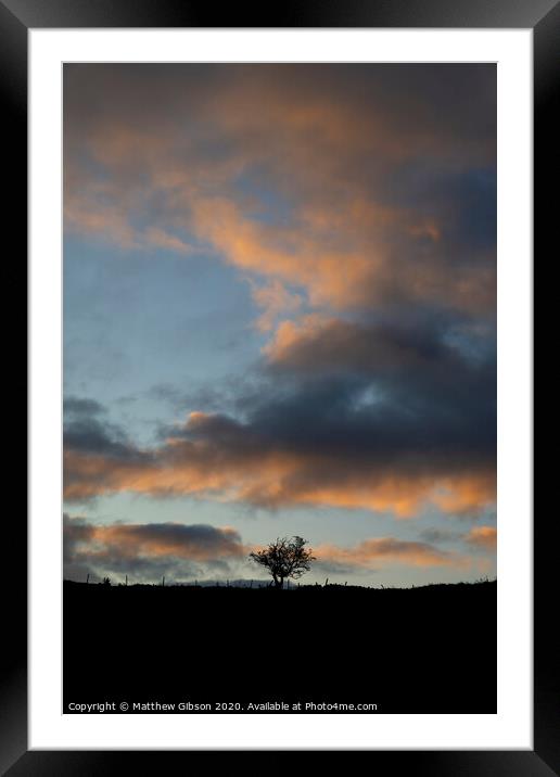 Beautiful Autumn Fall landscape vibrant countryside image of lone tree and stone wall at dawn Framed Mounted Print by Matthew Gibson