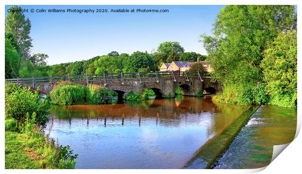 Tilford In Summer Print by Colin Williams Photography