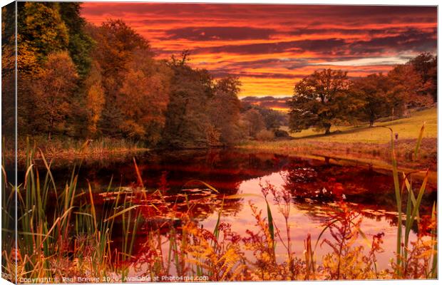Autumn Colours Canvas Print by Paul Brewer