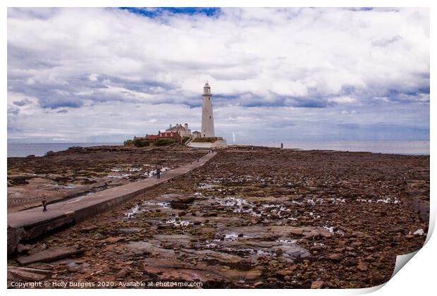 St Mary's Light house on a small island  Print by Holly Burgess