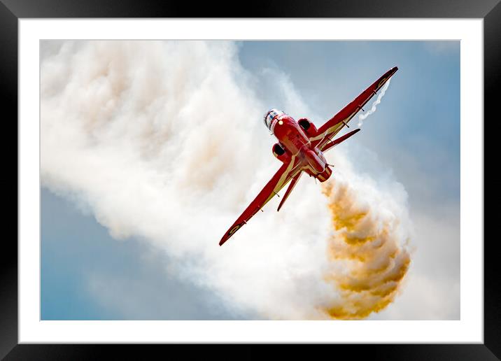 Single Red Framed Mounted Print by David Stanforth
