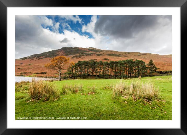 Trees at Crummock Water Framed Mounted Print by Heidi Stewart