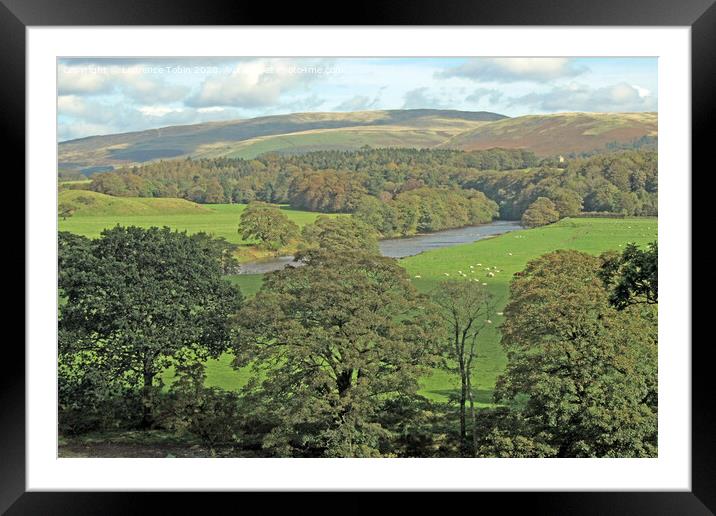 Countryside near Kirby Lonsdale, Yorkshie Dales Framed Mounted Print by Laurence Tobin