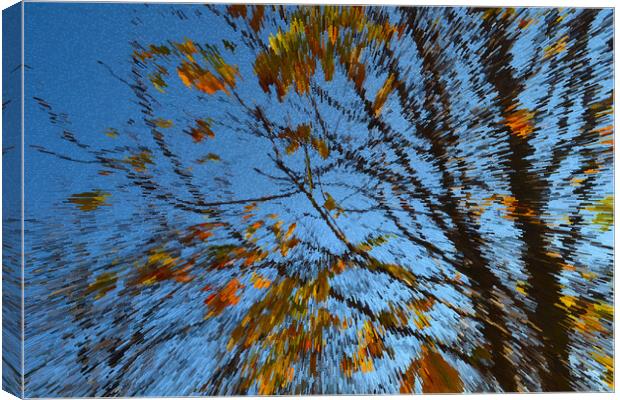 Late autumn with colorful leaves Canvas Print by liviu iordache