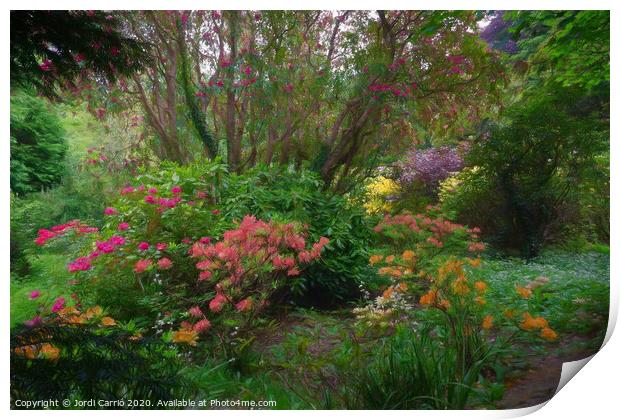 Flowering wild plants Print by Jordi Carrio