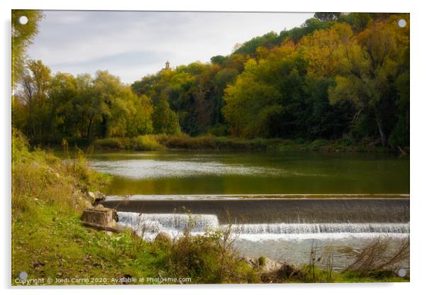 Autumn landscapes in the river Ter. Osona, Catalon Acrylic by Jordi Carrio