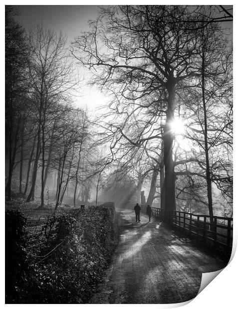 winter sunrise in Knaresborough Yorkshire Print by mike morley