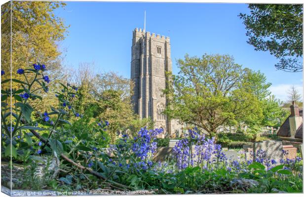 St George's Church with Bluebells Canvas Print by David Morton