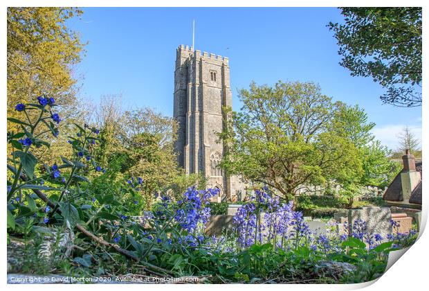 St George's Church with Bluebells Print by David Morton
