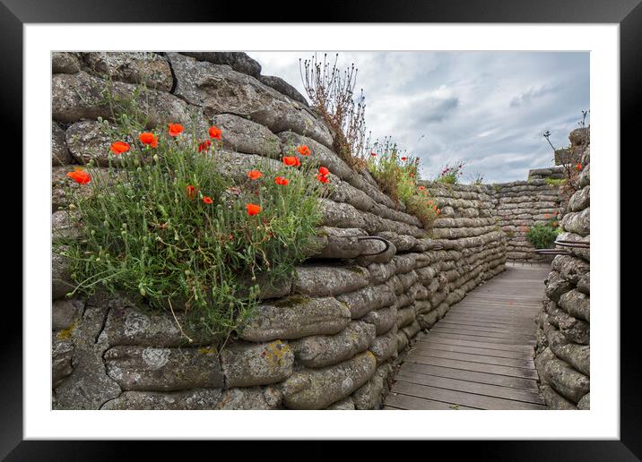 Poppies in Trench of Death, Diksmuide, Flanders Framed Mounted Print by Arterra 