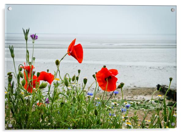Poppies grow alongside the coast path at 'The Garrison', Shoeburyness, `Essex, UK. Acrylic by Peter Bolton