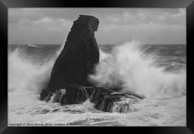 Bracing against the storm - Lizard coast Cornwall Framed Print by Steve Bishop