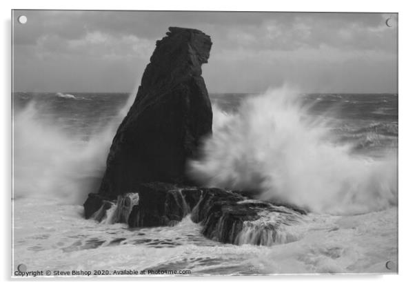 Bracing against the storm - Lizard coast Cornwall Acrylic by Steve Bishop