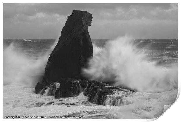 Bracing against the storm - Lizard coast Cornwall Print by Steve Bishop