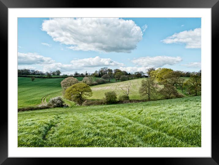 Fields in summer at Downham, Essex, UK. Framed Mounted Print by Peter Bolton