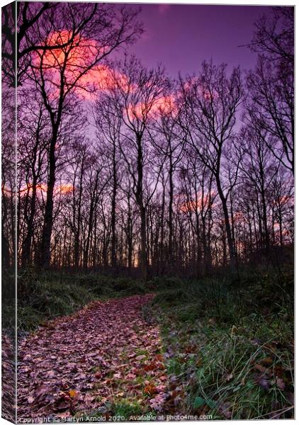 Winter in Fermyn Woods, Northamptonshire Canvas Print by Martyn Arnold