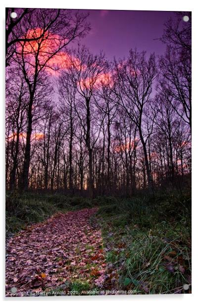 Winter in Fermyn Woods, Northamptonshire Acrylic by Martyn Arnold