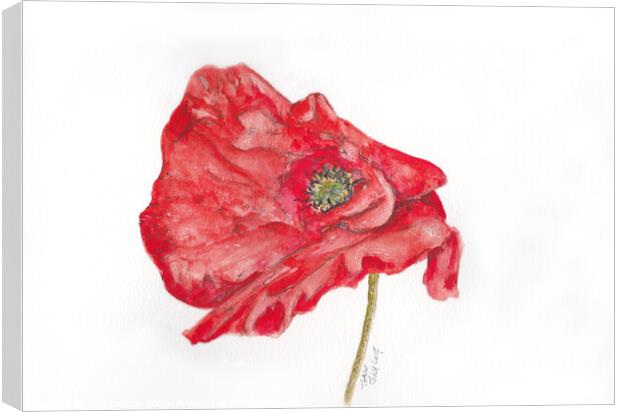 Poppy #1 Canvas Print by Jaxx Lawson