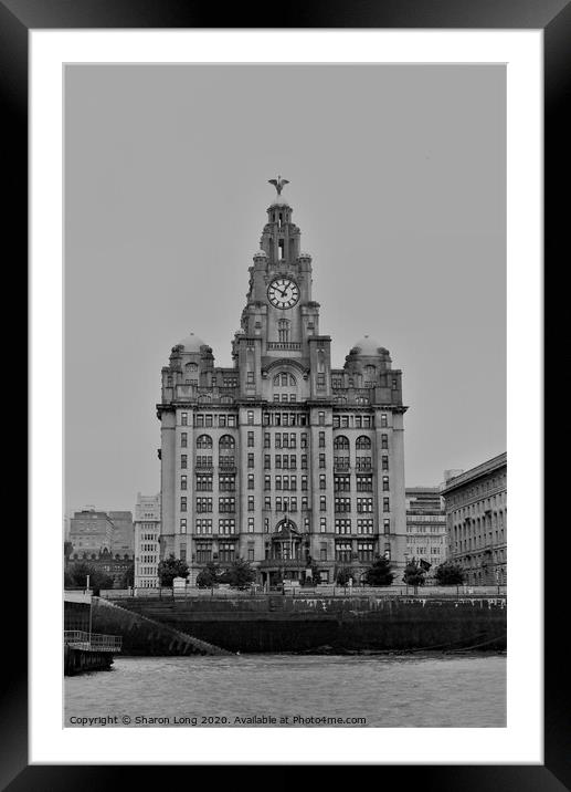 Royal Liver Building Framed Mounted Print by Photography by Sharon Long 
