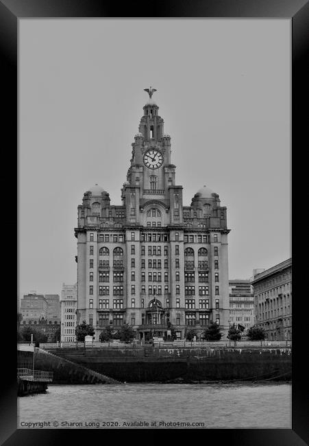 Royal Liver Building Framed Print by Photography by Sharon Long 