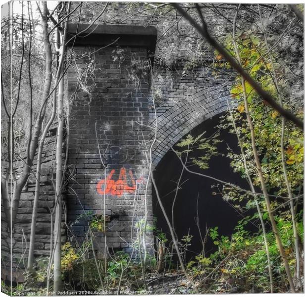 Old train arch Canvas Print by Sarah Paddison
