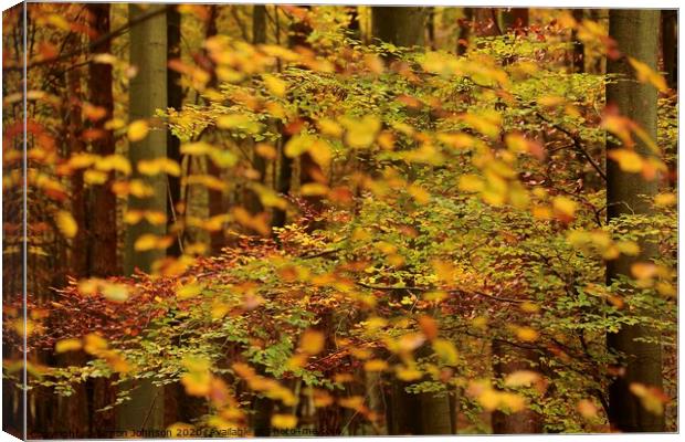 Autumn Leaves  and trees Canvas Print by Simon Johnson