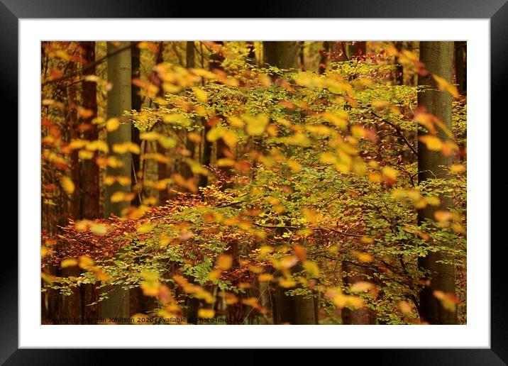 Autumn Leaves  and trees Framed Mounted Print by Simon Johnson