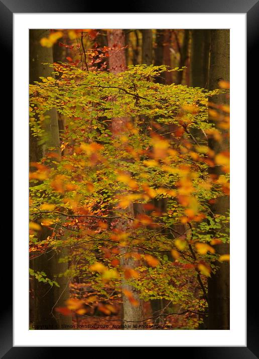 Trees and leaves Framed Mounted Print by Simon Johnson