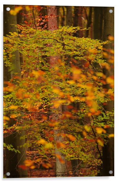 Trees and leaves Acrylic by Simon Johnson