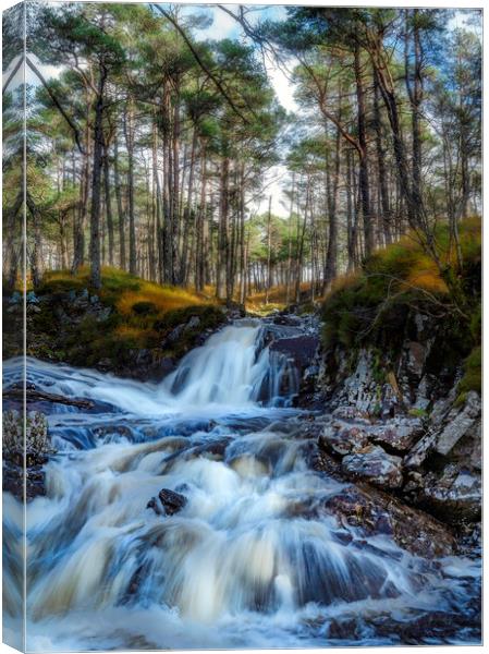 Glen Cassley waterfall Canvas Print by Alan Simpson