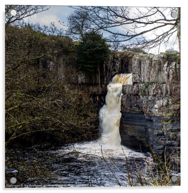 High Force Waterfall - Teesdale Acrylic by Joy Newbould