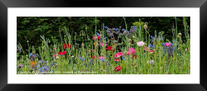 Wild Flowers Panorama Framed Mounted Print by Joy Newbould