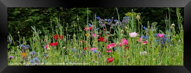 Wild Flowers Panorama Framed Print by Joy Newbould