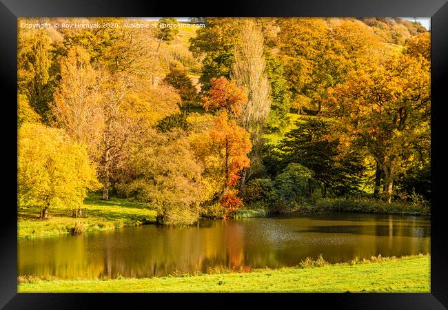 An Autumn view of the lake at Minterne House and G Framed Print by Roy Hornyak