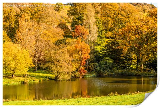 An Autumn view of the lake at Minterne House and G Print by Roy Hornyak