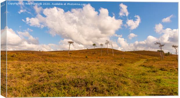 a windswept hill, canford heath, poole, uk Canvas Print by Roy Hornyak