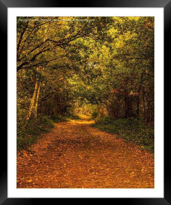 footpath through the trees in autumn. Framed Mounted Print by Roy Hornyak
