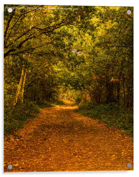 footpath through the trees in autumn. Acrylic by Roy Hornyak