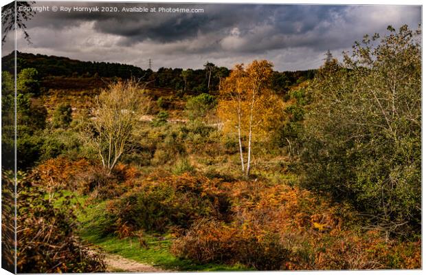 A large area of trees, and heathland. Canvas Print by Roy Hornyak